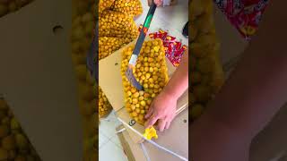 Fresh Asmr Hazel Nuts. #asmr #hazel #nuts