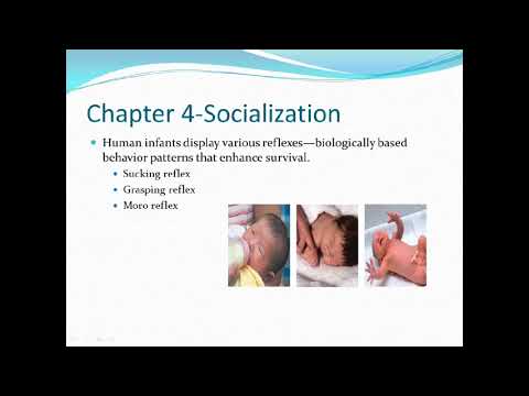 Sociology- Introduction to Sociology Chapter 4 Socialization