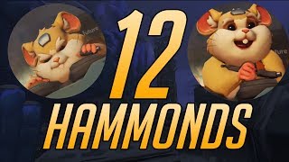 12 Hammond Ptr Gameplay Wrecking Ball Ffa Overwatch