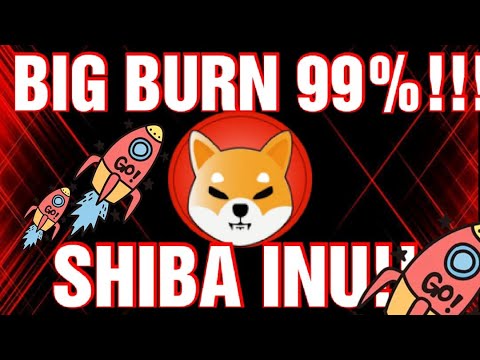 BERITA BESAR!! SHIBA INU BIG WHALE LAKUKAN INI SAAT SHIBA INU LEMAH! SHIBA INU STRATEGI BARU RYOSHI!