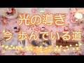 233.eriko耳olacle👼「光の導き🌟今✨ 歩んでいる道」どんな時も光のガイドが導いています!✨👼🌟進化のために🌳癒しと希望🍀💕🌈オラクル🔮タロット🃏ルノルマン🌸❤️🍀💐