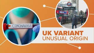 Connect the dots: Scientists believe UK variant of COVID-19 developed in lone patient