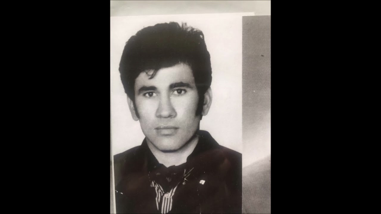 Zedan Şerin Emine Momin  berebin