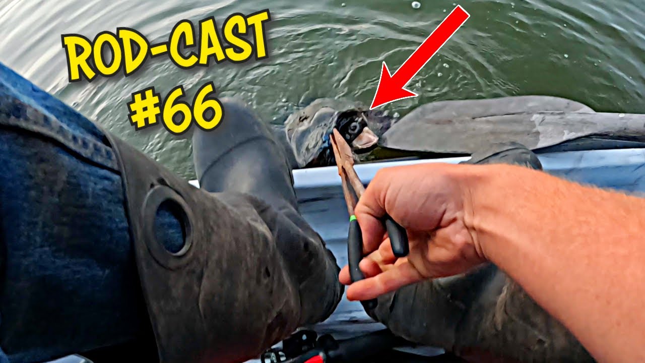 Catching A MONSTER While Bass Fishing!!! | Rod-Cast Ep: 66