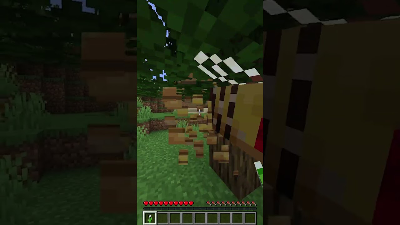 Dumbest Moments In Minecraft 