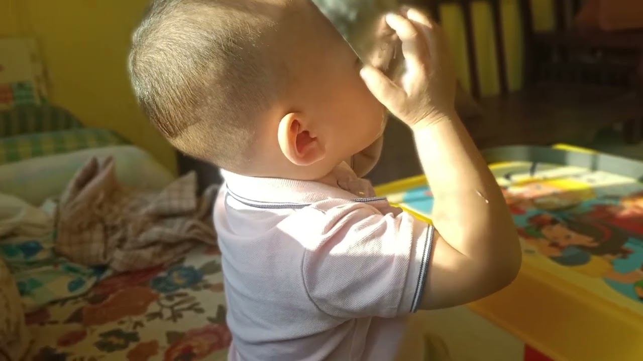 8th December 2025 love for Curd.