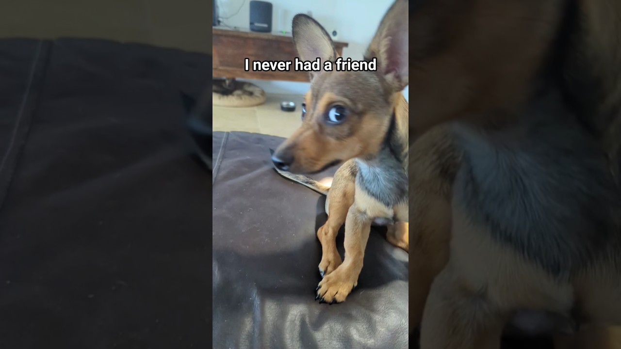 I never had a friend like you!❤️🥰