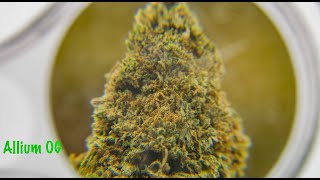 2025 Lost Oak Farms Harvest - Don Reviews