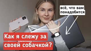 СЛЕЖКА ЗА ЖИВОТНЫМИ. Как следить за собакой/котом, когда никого нет дома?