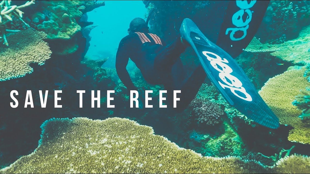 OPERATION SAVE THE REEF - YouTube