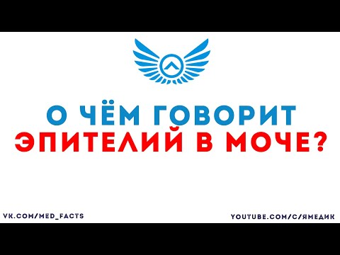 Эпителий в моче: что это, его норма, причины повышения разных видов эпителия