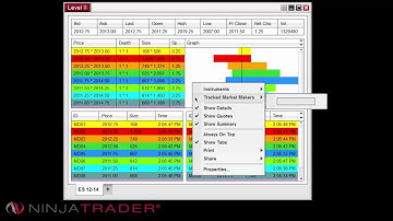 NinjaTrader 8 - Level II Window Overview