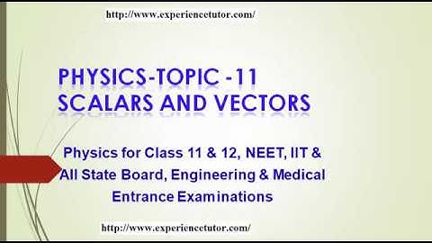 Class 11 Chapter 4 : Vector 01 : Scalar and Vector || Types of Vector || Angle between Two Vectors