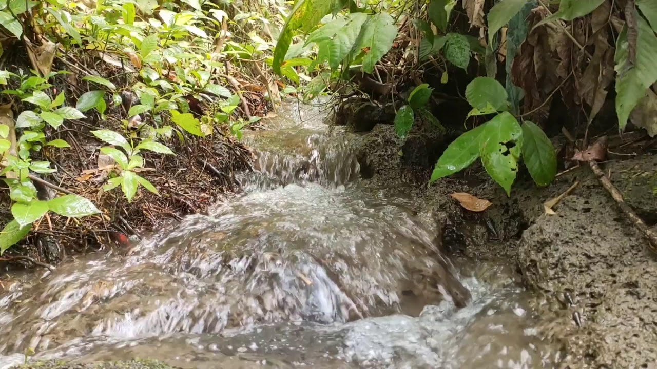 Healing River Ambience – Calm River Sounds with White Noise for Stress Relief