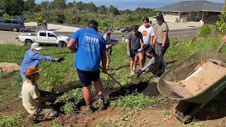 Planting Food Islands on Hawaiian Homelands