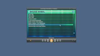 Using the Mouse and Mouse Wheel