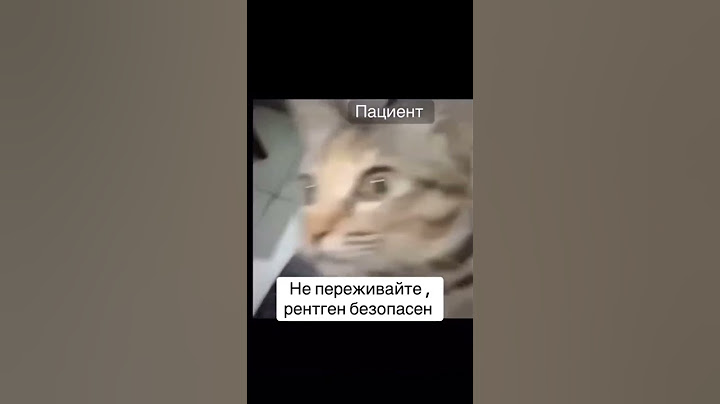 Когда делаешь рентген #кот #прикол