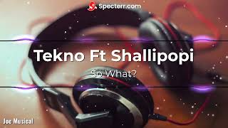 So What By Tekno And Shallipopi