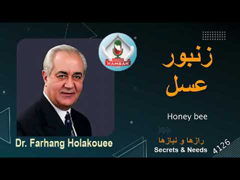 زنبور عسل  