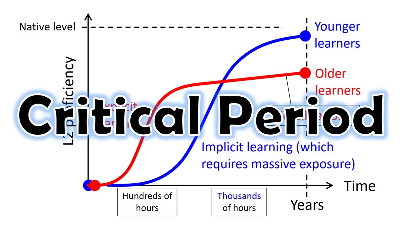 what is the critical period hypothesis for language