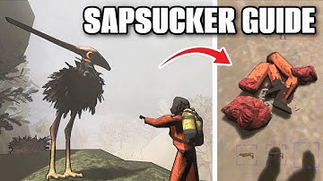 HOW TO KILL SAPSUCKER: Lethal Company [v70-v72 update]