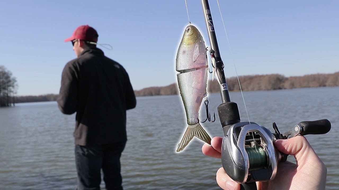 BIG Electronic Swimbait Challenge! (7 pound Bass)