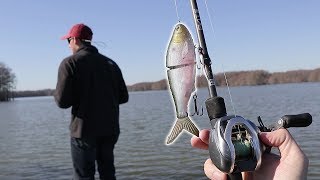 BIG Electronic Swimbait Challenge! (7 pound Bass)