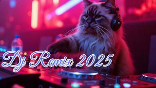 Dj Remix 2024 |dj breakbeat 2024 terbaru |dj breakbeat 2024 |dj