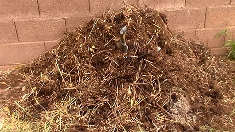 Starting a new compost pile