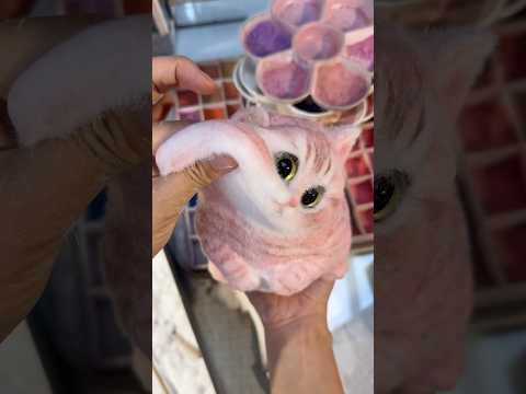 Daily soft&lovely moments.#squishy #diy #cat #handmade #cute