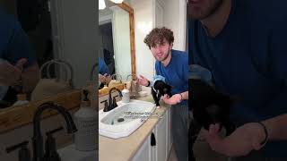 I Got A Pet For My Cat