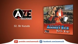 Gülesin & Ahmet Ece - Bir Kuzuda (U.H)