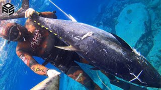 PESCASUB TONNO Gigante Pesca al Dentice Giant BLUEFIN TUNA SPEARFISHING 2024