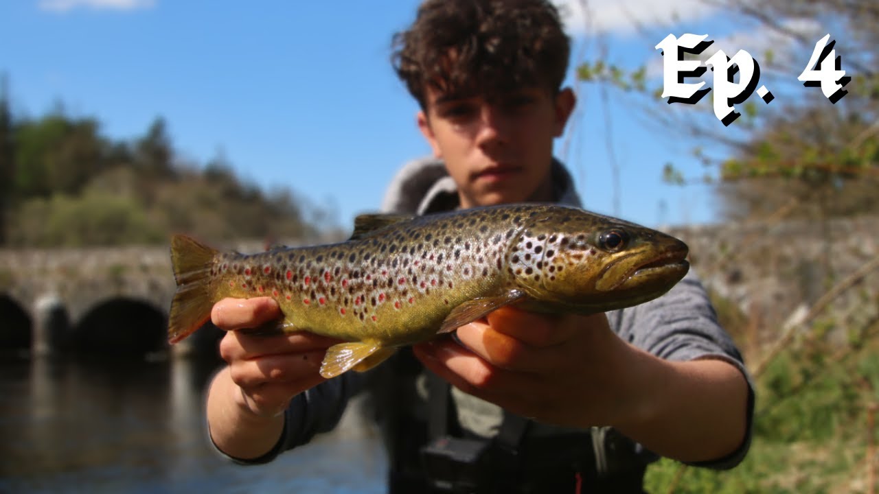 On trouve enfin les belles TRUITES ! Ep 4 - Truites d'Irlande