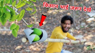 आम तोड़ने का शानदार जुगाड || Make a Fruit Picker using PVC pipe || Mr. Dharoniya