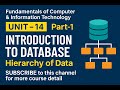 Introduction to Database | Hierarchy of Data Explained | Fundamentals of Computer &amp; IT | BCA Unit-14