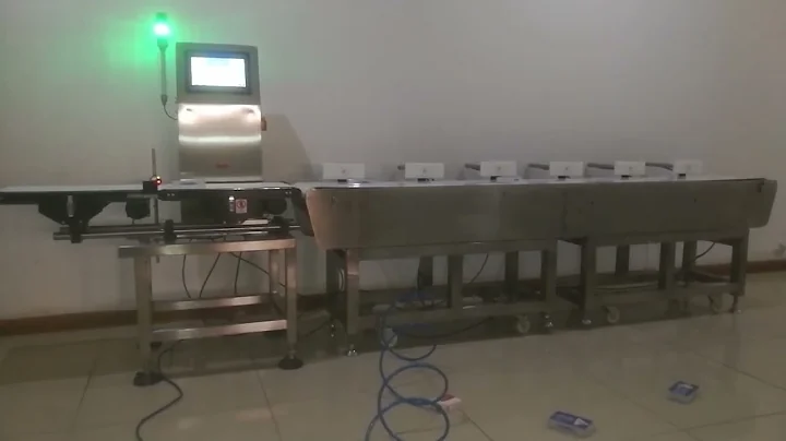 Conveyor scale checkweigher weight sorting grading machine with pusher sorter