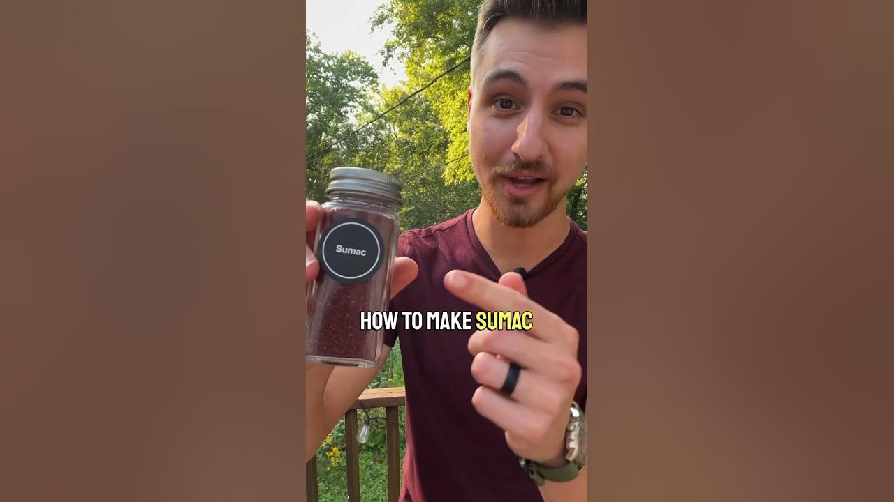 How to make sumac (from the wild) foraging sumac spices YouTube