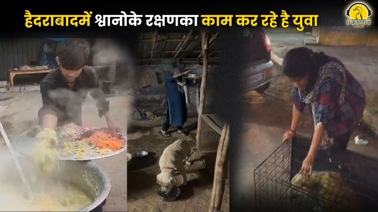 हैदराबादमें श्वनोके रक्षणका काम कर रहे है युवा
