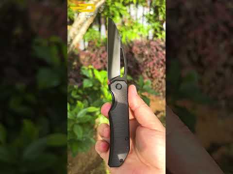 That Black DLC Though… You Can Still See the Satin Lines! Bestech MINI TAIPAN  