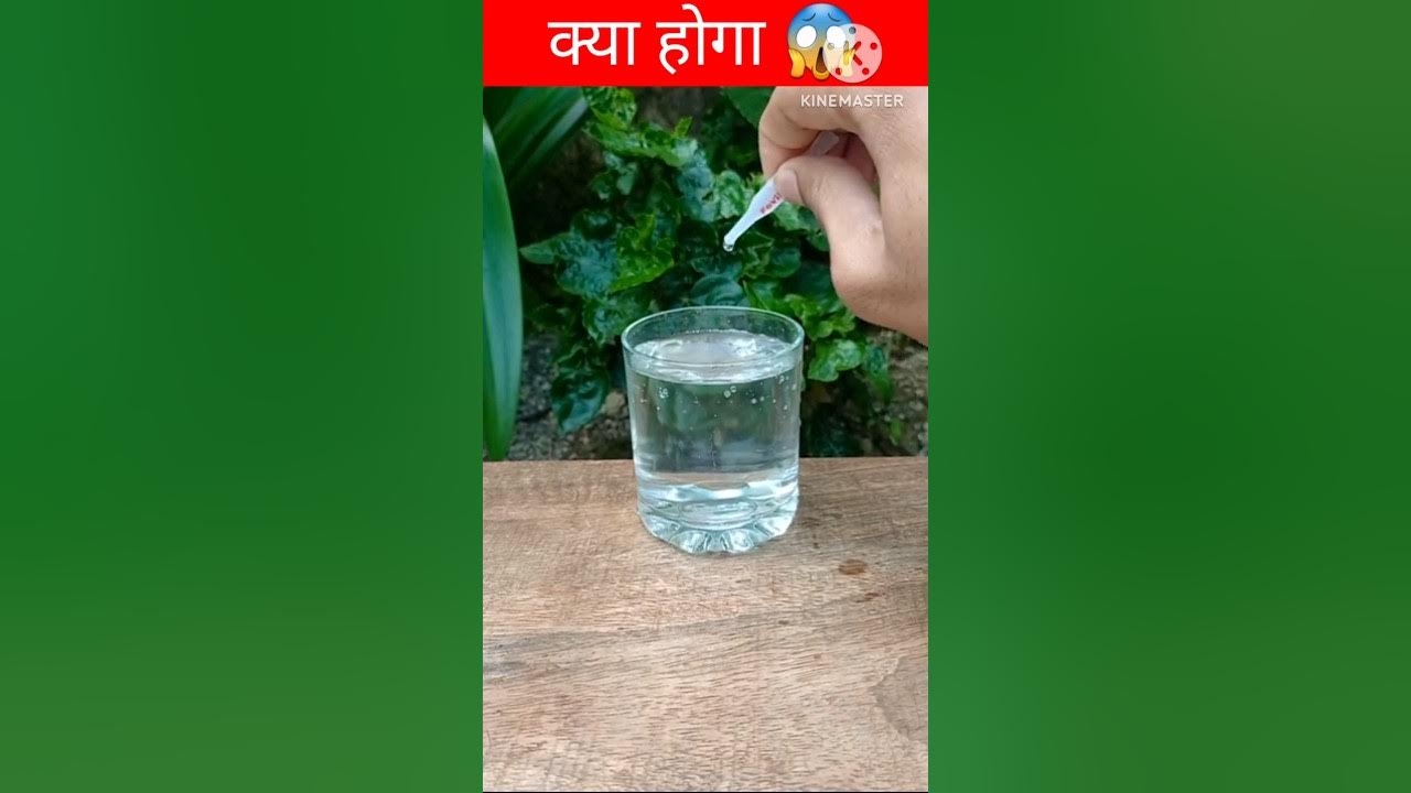 क्या होगा 😱 water VS Feviquick crazy experiment shorts 2023 new 