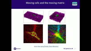Full CSAR:  Prof  Frances Balkwill News