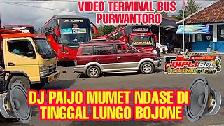 Dj Paijo Mumet Ndase Bass Glerr Horeg Dj By Qipli Bdl Video Versi Terminal Bus Purwantoro