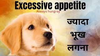 Excessive appetite in dogs। Always hungry dogs । homeopathic medicine । by Durabull kennel 53 views 3 months ago 5 minutes, 19 seconds