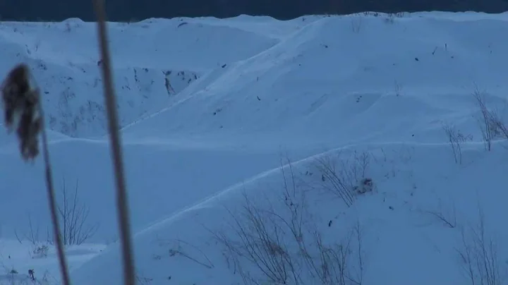 Coyote Hunting  with a Foxpro Shockwave