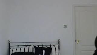 Josh Hewitt Deleted Musically Reaction Vlog