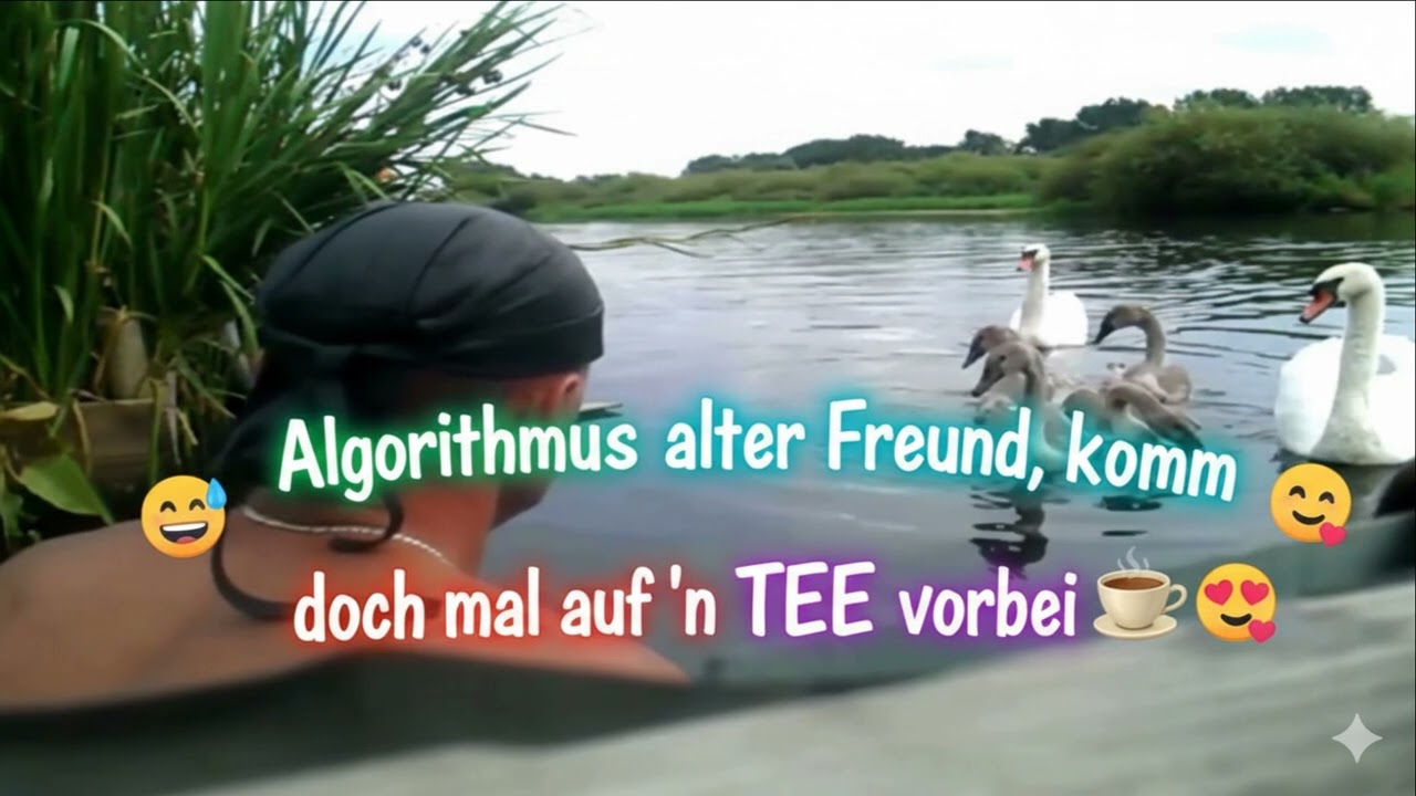 🌞☕ PEENE  Km 32 - Algorithmus — komm mal auf ’n Tee vorbei! 😄