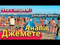 #АНАПА - ЧТО С МОРЕМ В #ДЖЕМЕТЕ? ДЕЛЬФИНЫ ОПАСНЫ. ПОЖАР В КВАРТИРЕ.