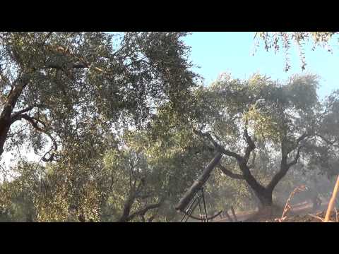 كتيبة الشهيد اسماعيل العبد الله دك معسكر المسطومة بصواريخ فهد 1جزء رابع24 8 2013 