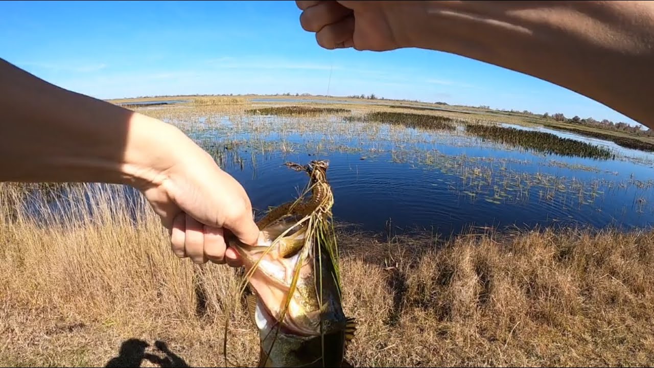 Pond fishing for some 3 lb bass part1 in 2 feet of water after Florida's winter storm